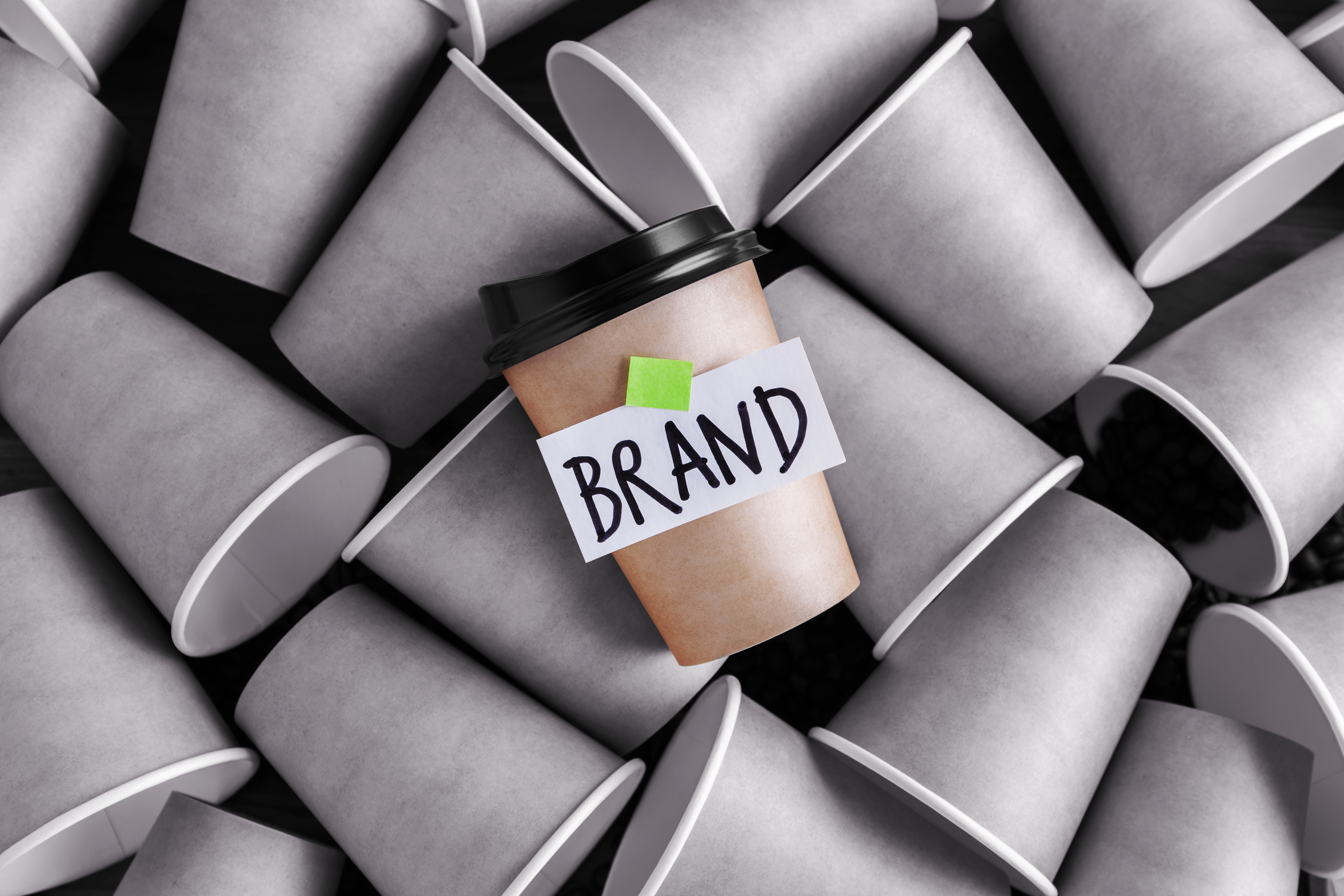 Source Marketing Direct publishing their how-to guide to making your brand stand out